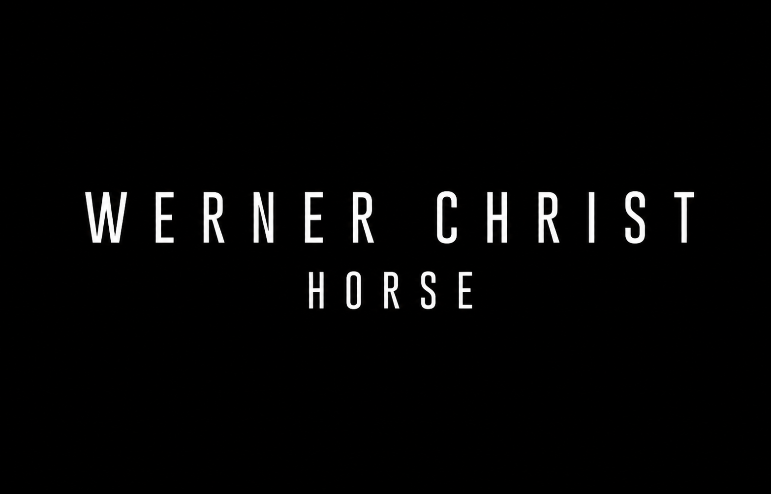 Werner Christ Neue Logo